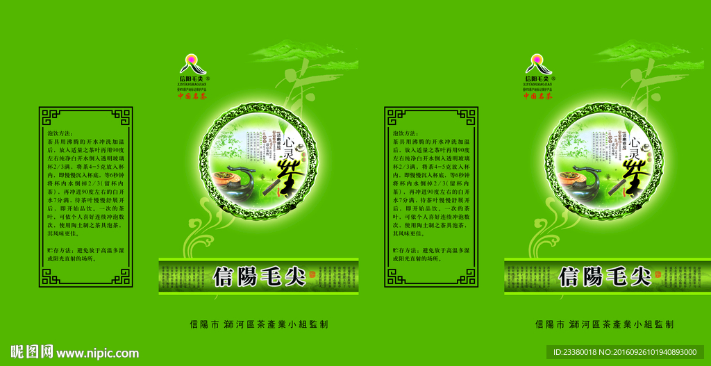 信阳毛尖
