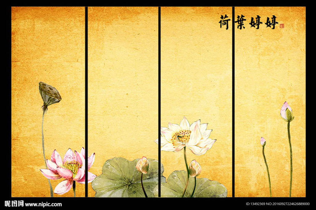 荷花