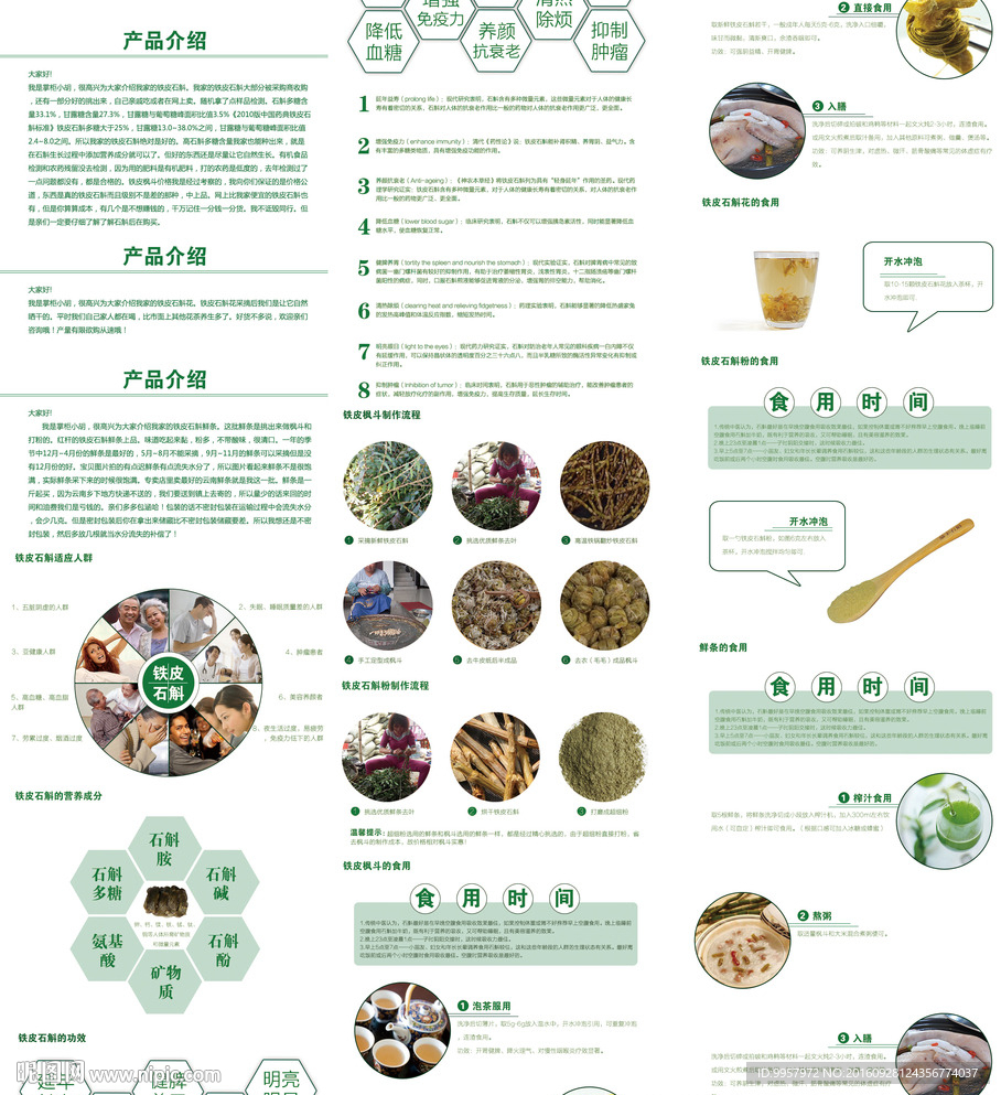 铁皮石斛详情 石斛模版 设计