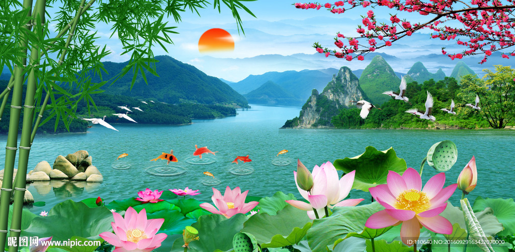 荷花