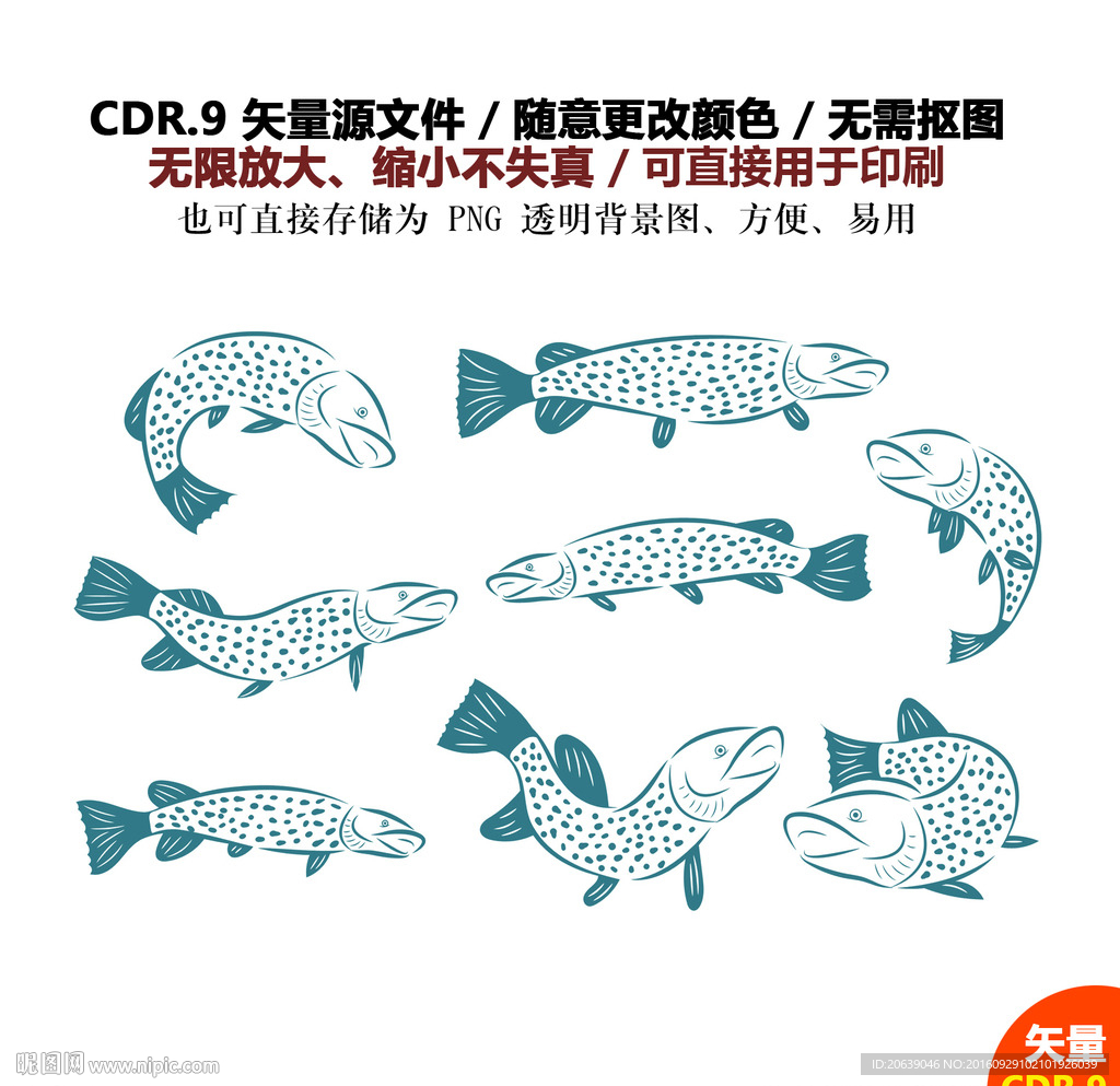 手绘卡通动物鱼金鱼图标