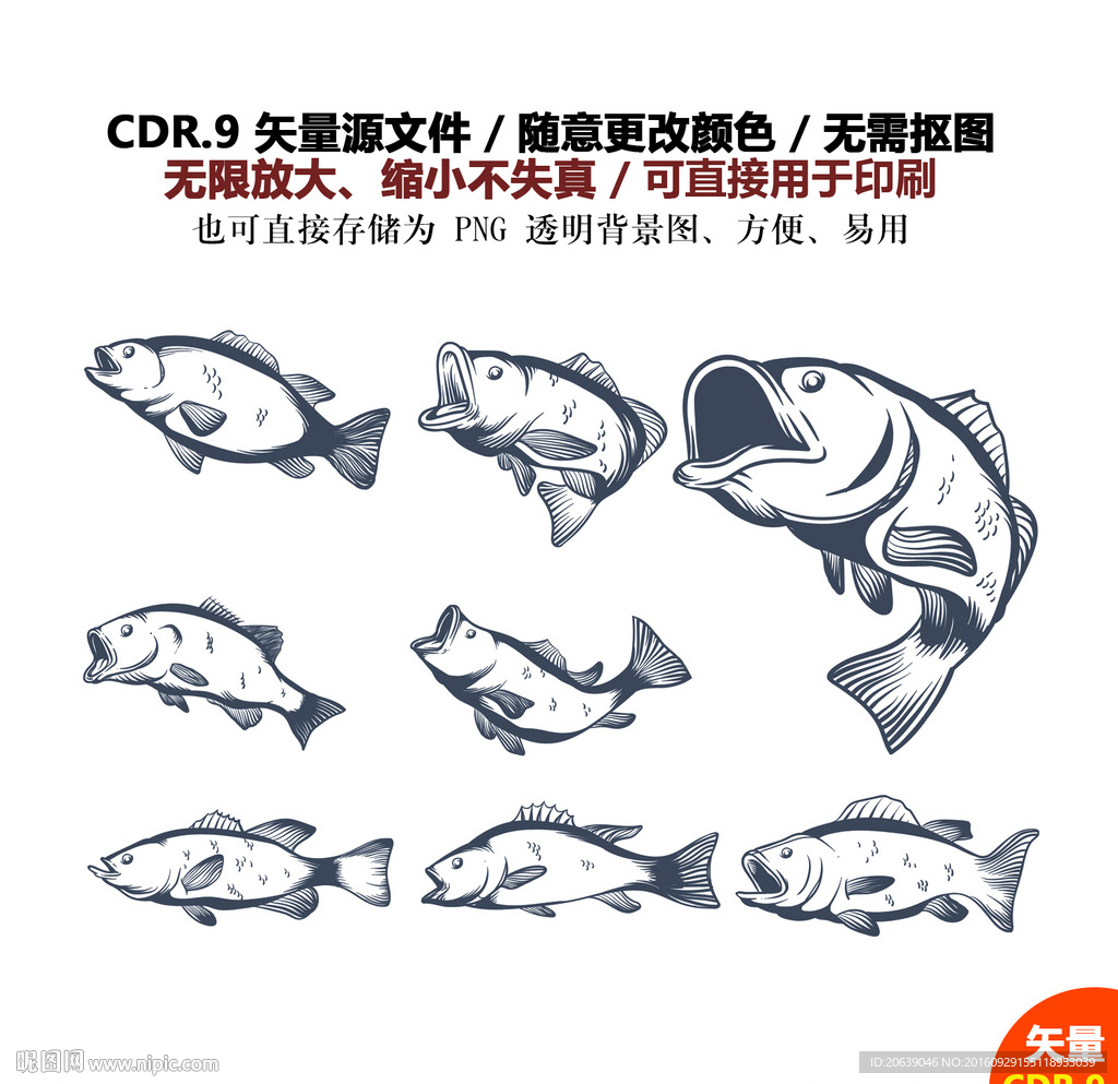 手绘卡通鱼鲤鱼矢量素材