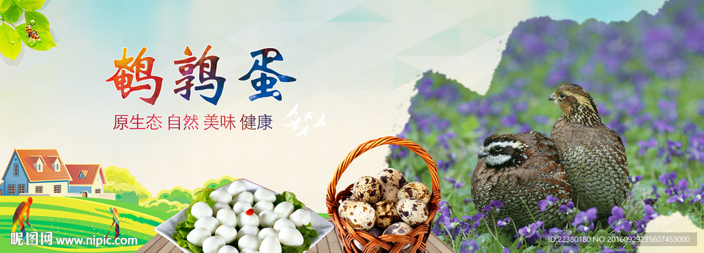鹌鹑蛋