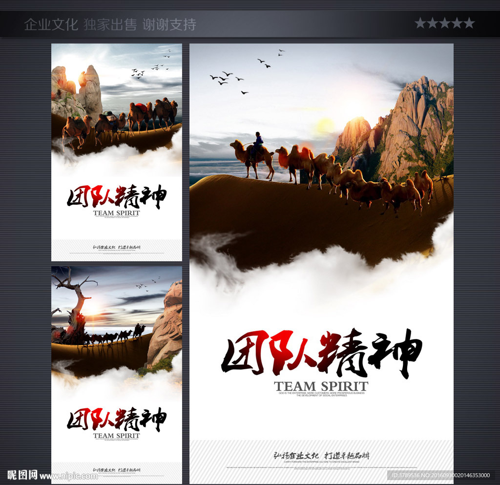 企业画册