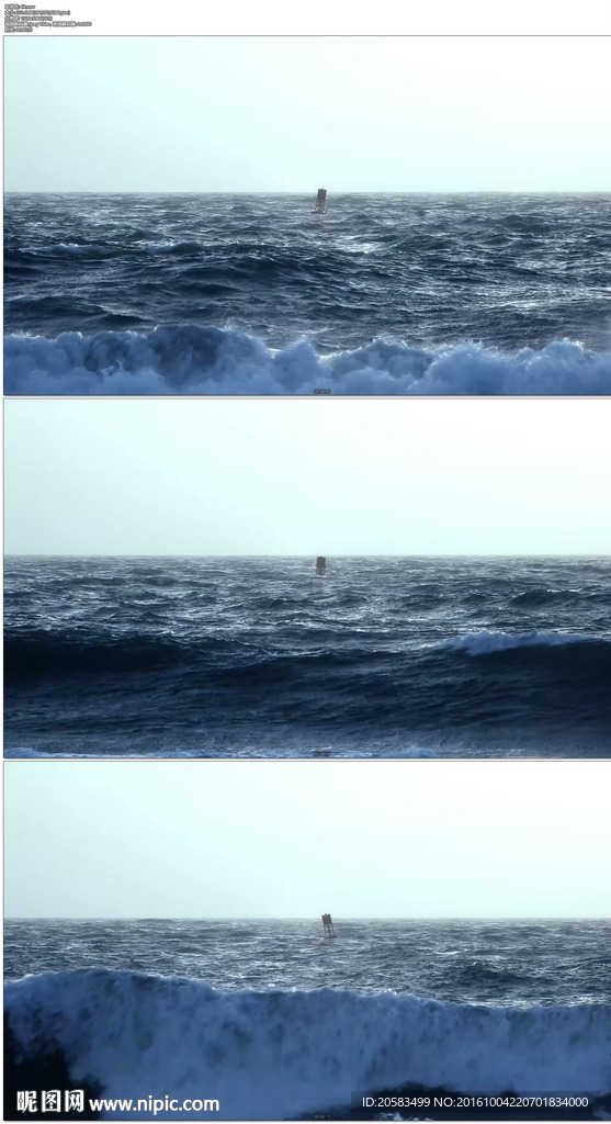 大海漂浮物