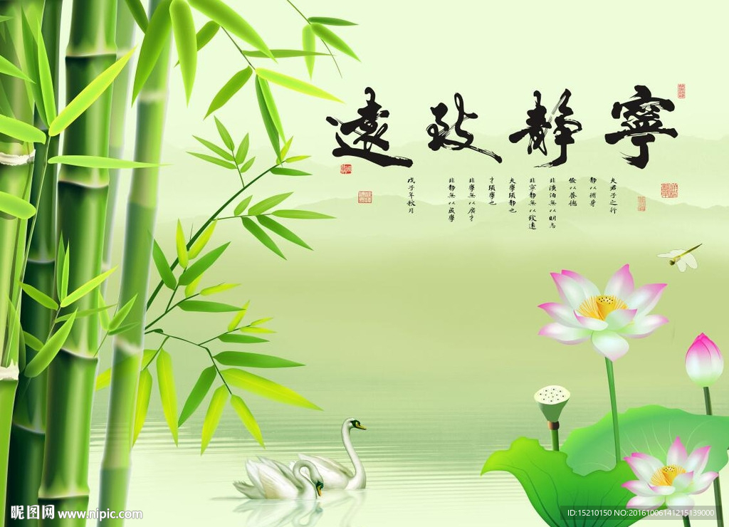 宁静致远荷花竹子