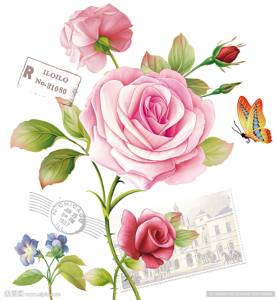 欧式玫瑰 图层分层