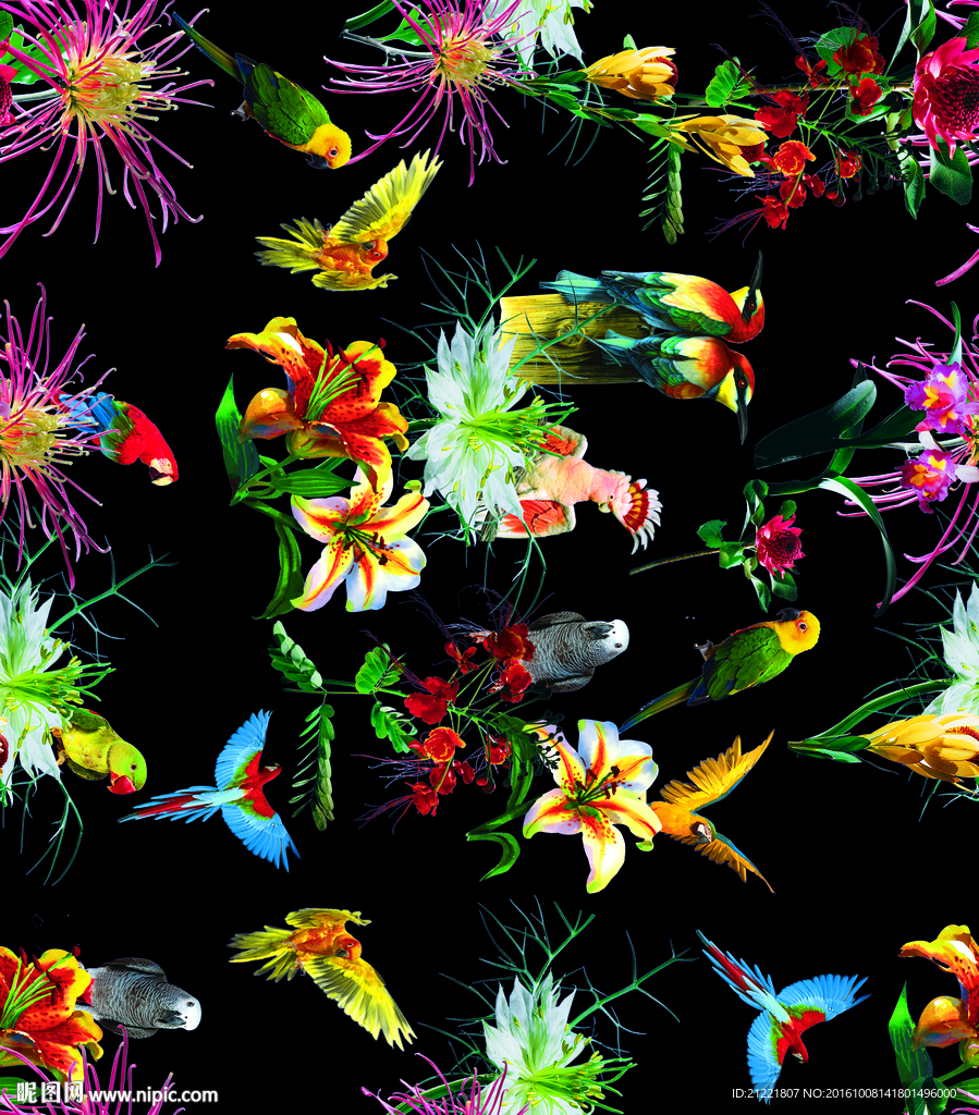 花鸟