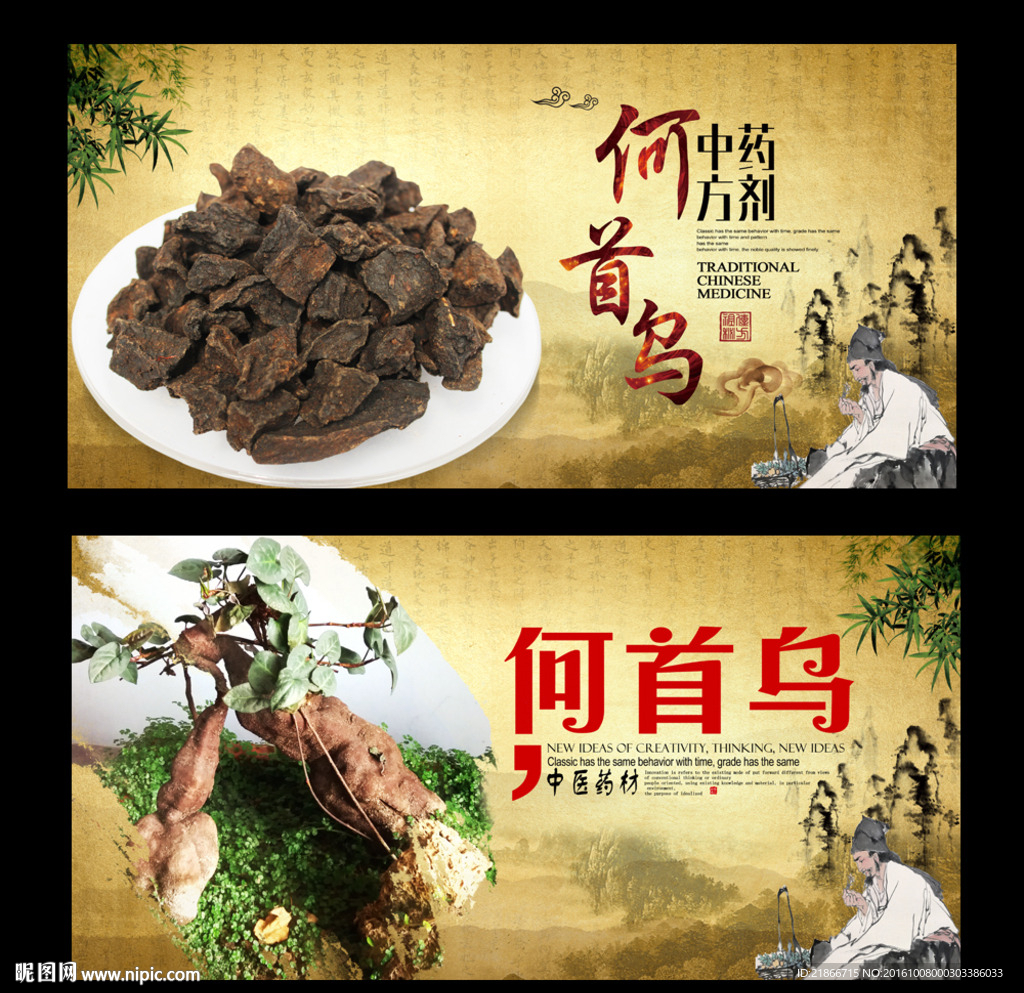 何首乌