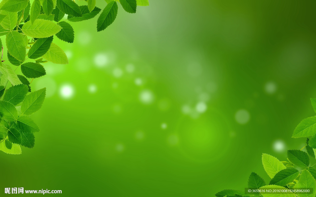 绿叶背景