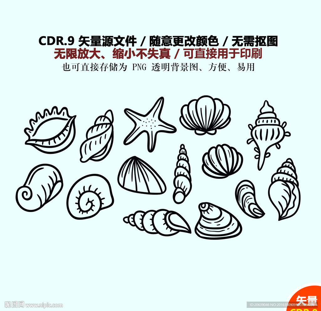 手绘贝壳海螺矢量图标