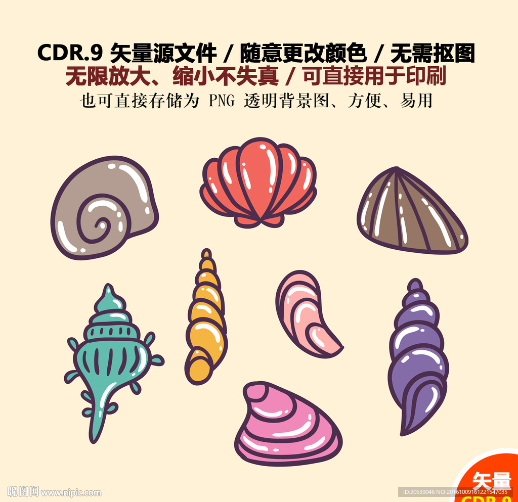 手绘贝壳矢量图标