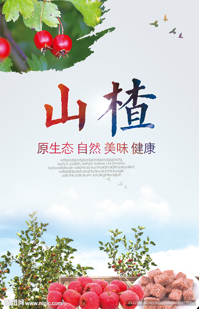 山楂