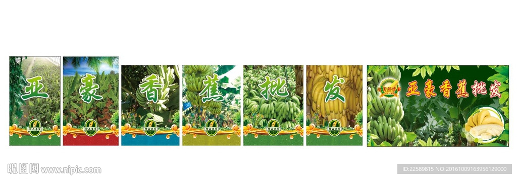 香蕉海报