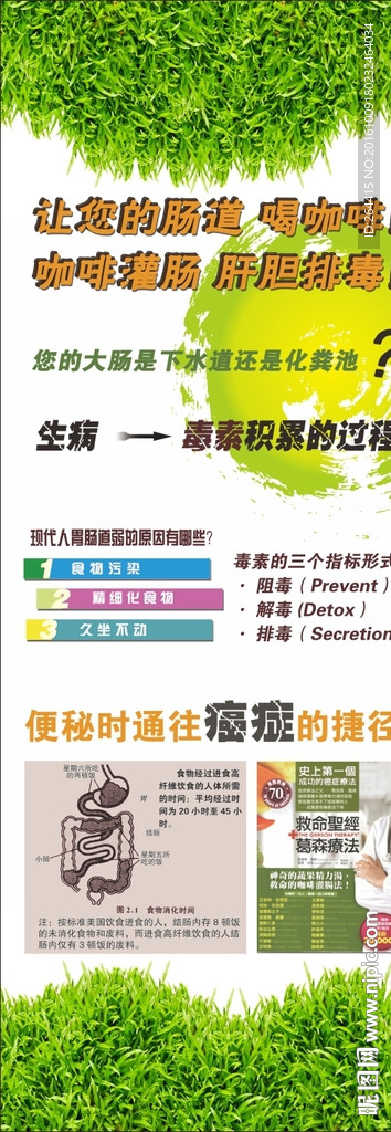 咖啡灌肠养生肝胆排毒海报展板