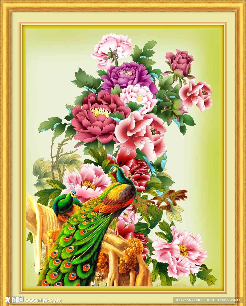 花鸟图 牡丹孔雀图
