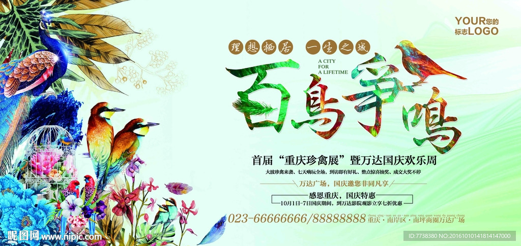 百鸟争鸣