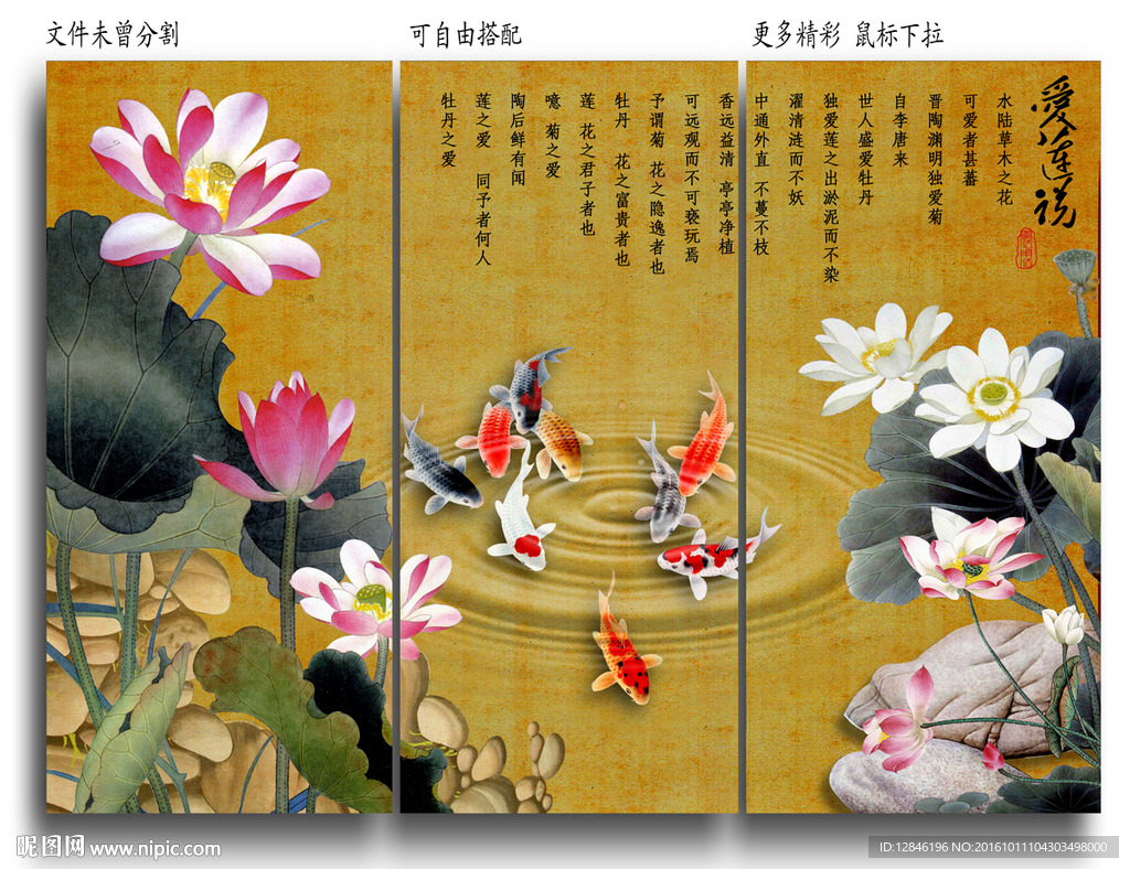 荷花图