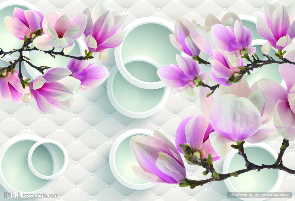 3d背景墙 玉兰花