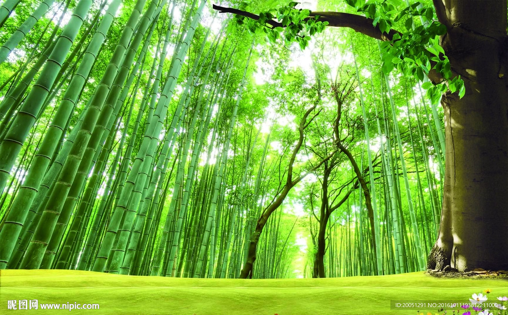 3d竹林背景墙