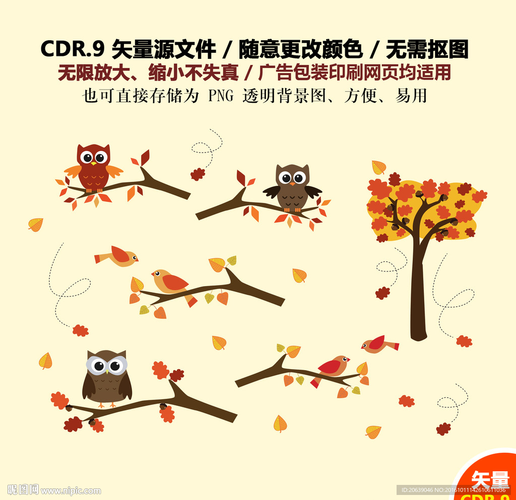 卡通猫头鹰矢量图