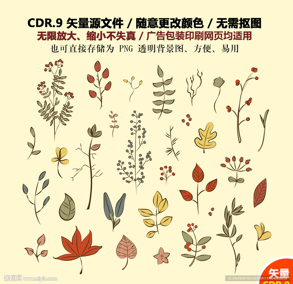 手绘彩色树叶花草矢量图标