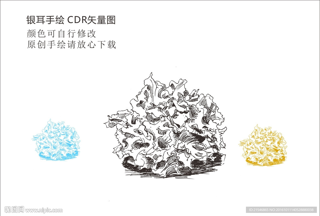 银耳手绘矢量图图片