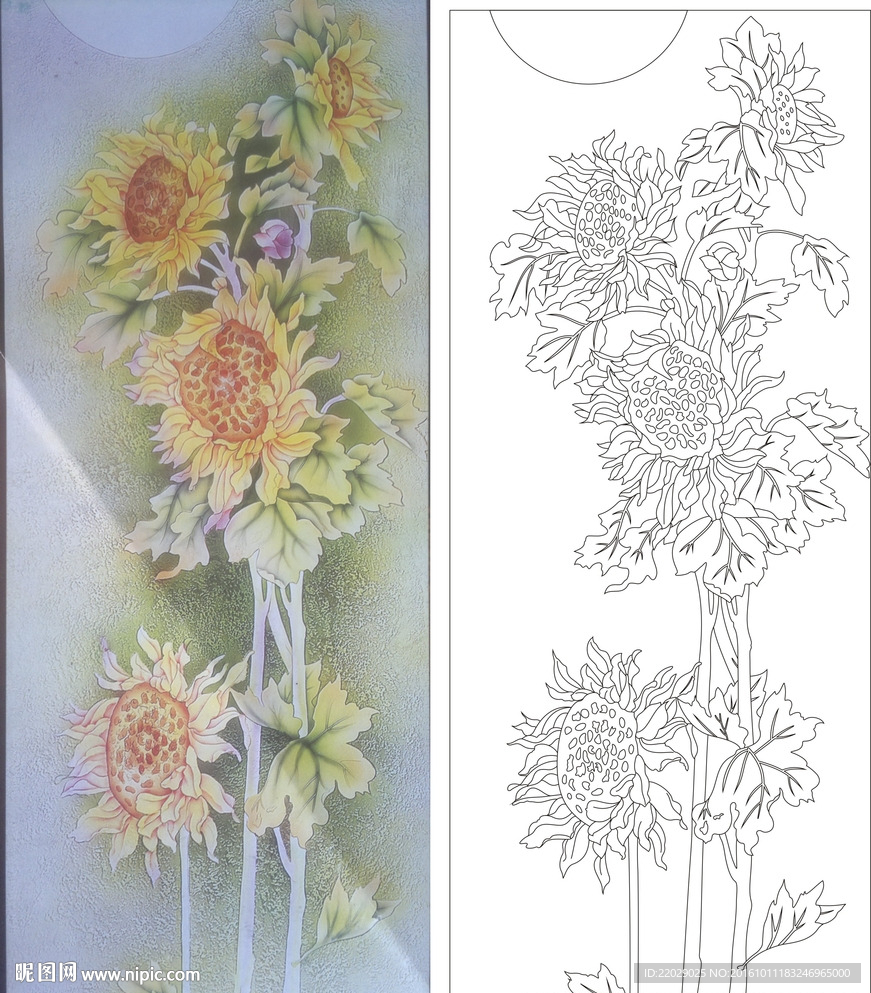 菊花