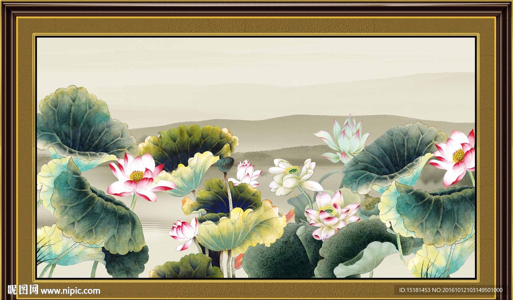 荷花图