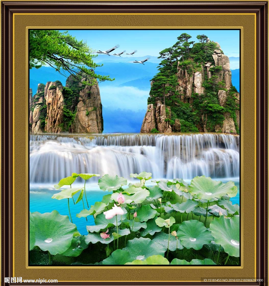 风景画 荷花
