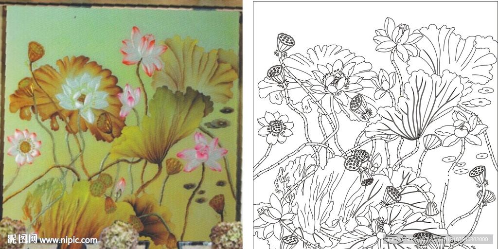 荷花