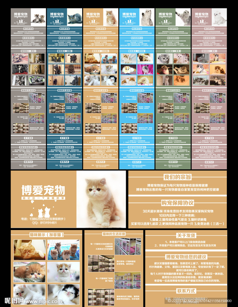 简约清新猫咪宣传海报设计