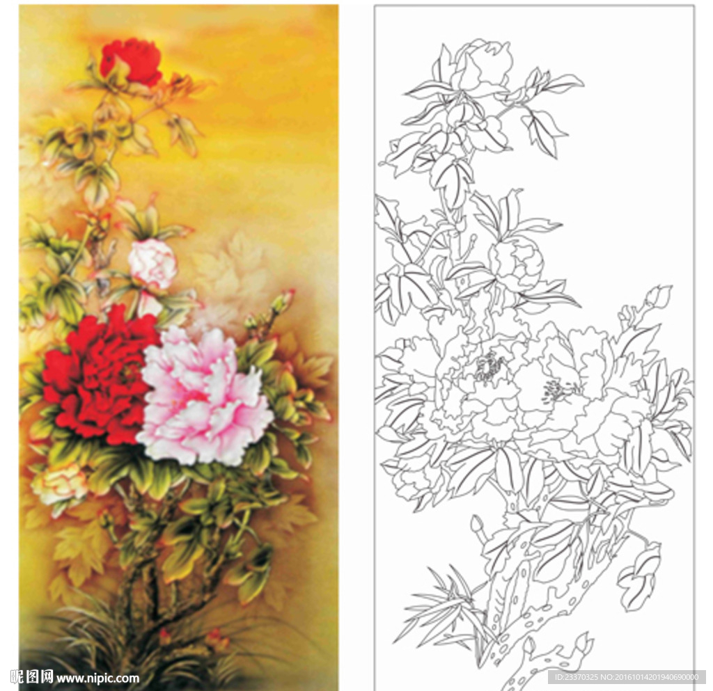 牡丹花好月圆