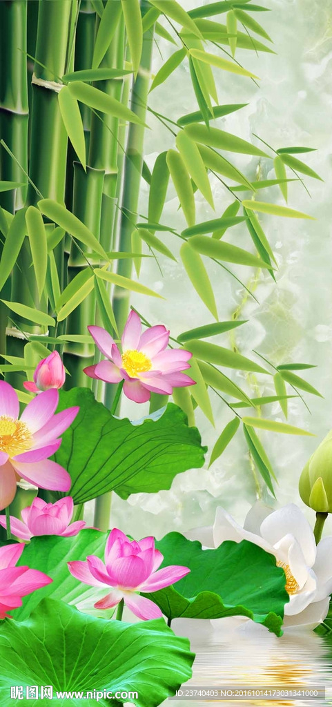 竹子荷花玄关