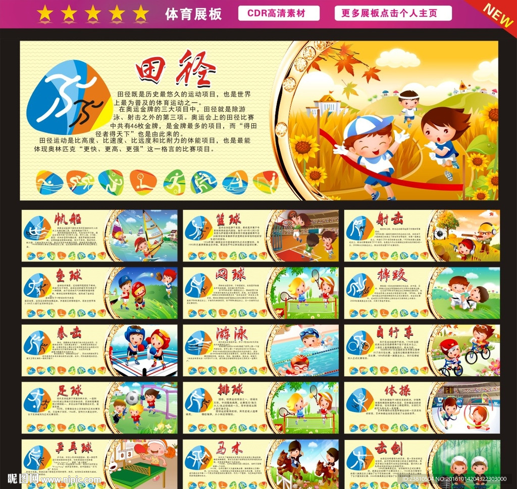 体育