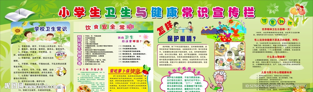小学生卫生与健康常识宣传栏