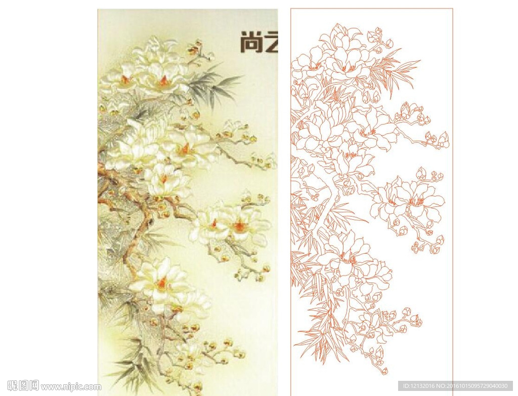 玉兰竹子