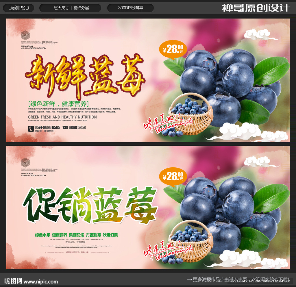 新鲜蓝莓