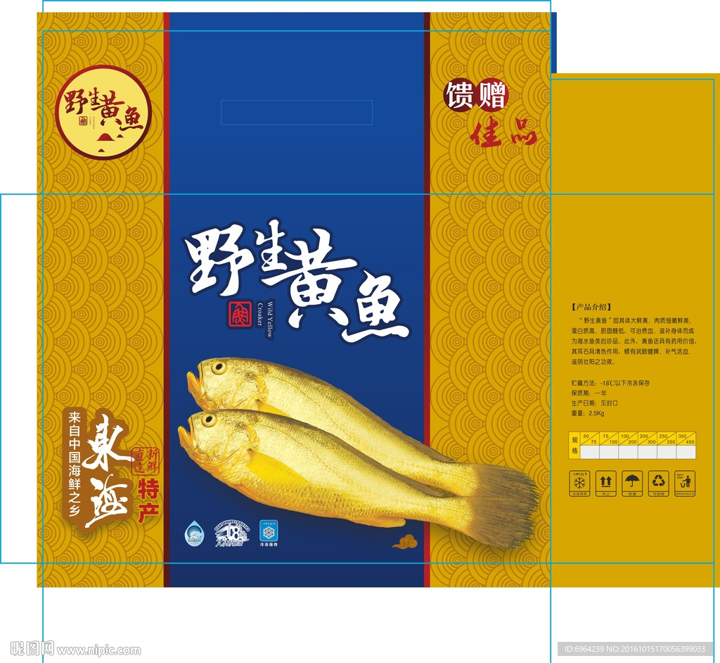 东海野生黄鱼