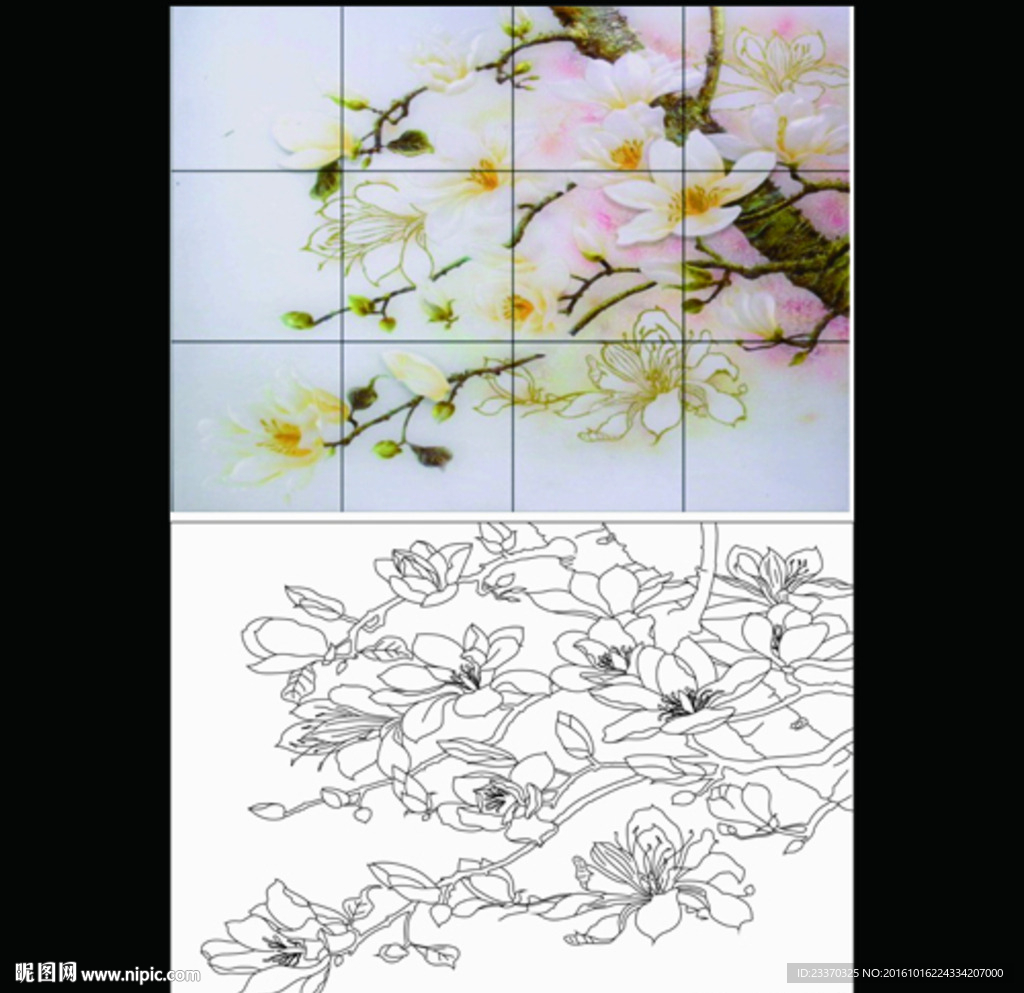 玉兰花