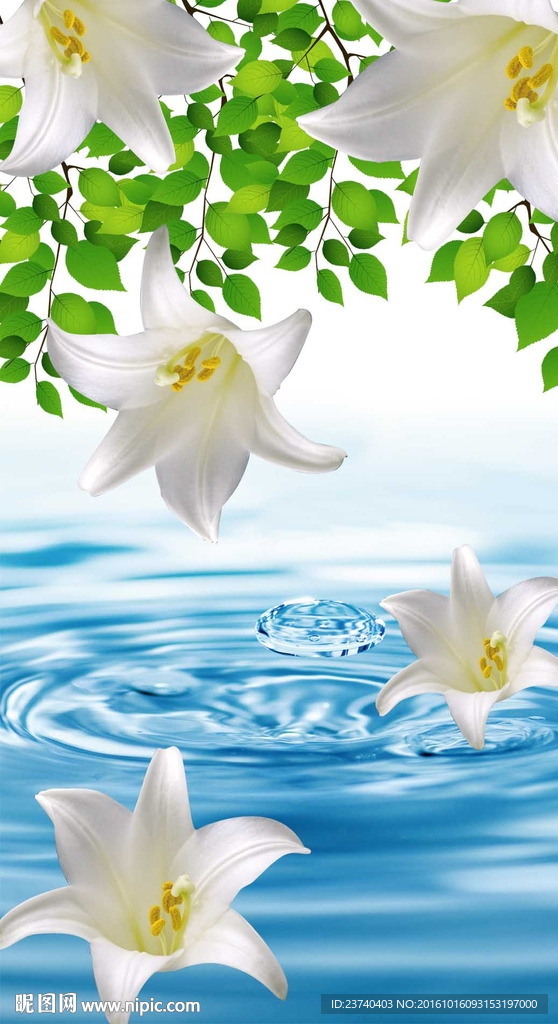 3d玄关 水滴落花