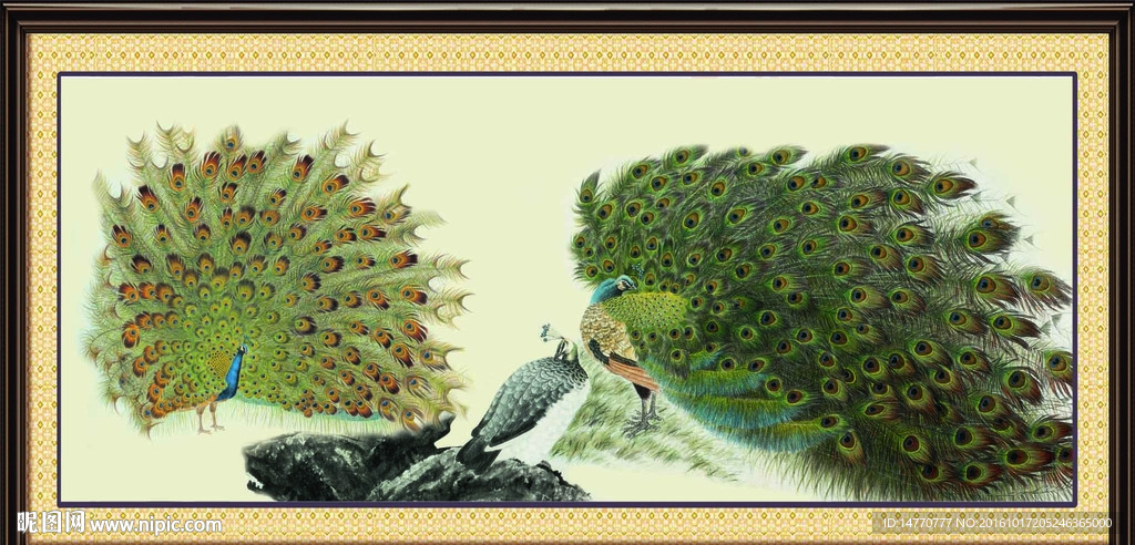 孔雀工笔画