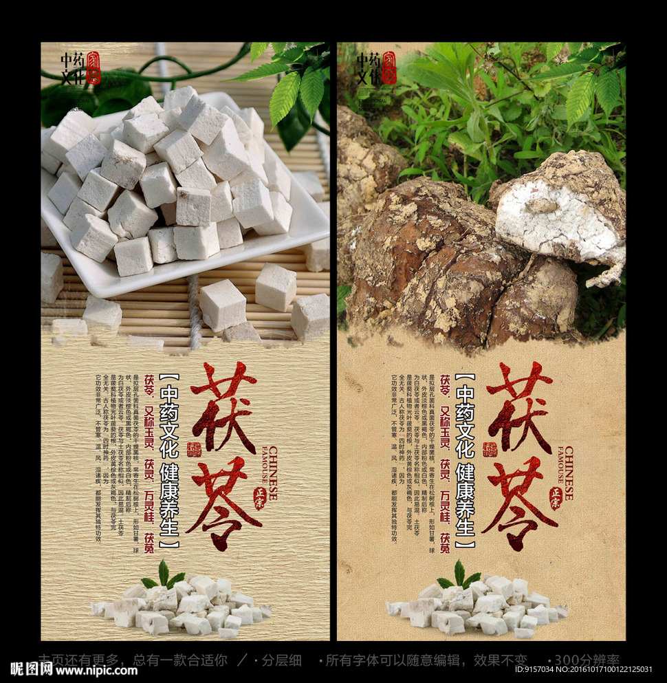 茯苓