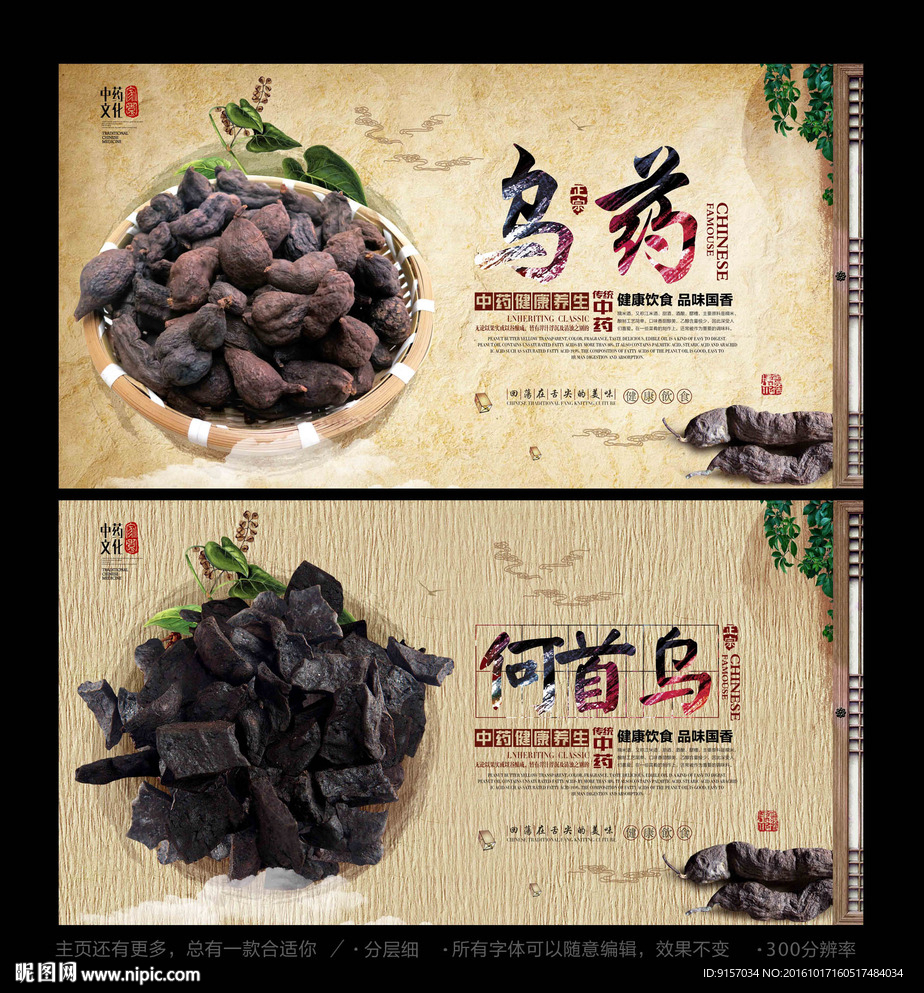 何首乌