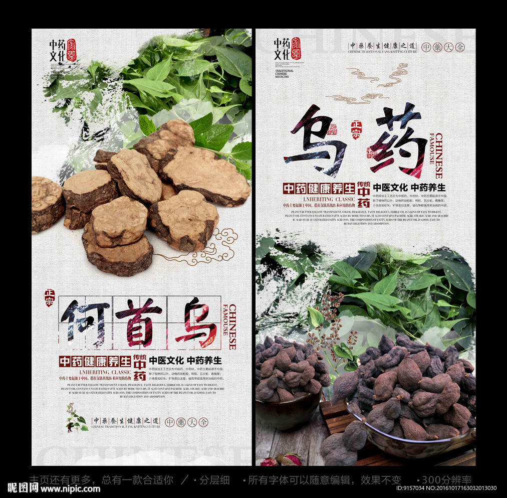 何首乌