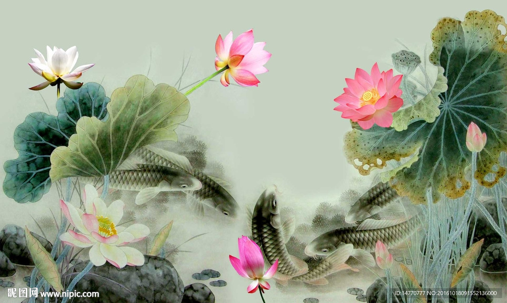 荷花图