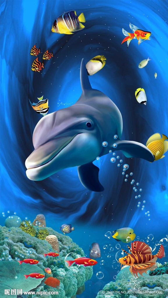 3d海豚玄关