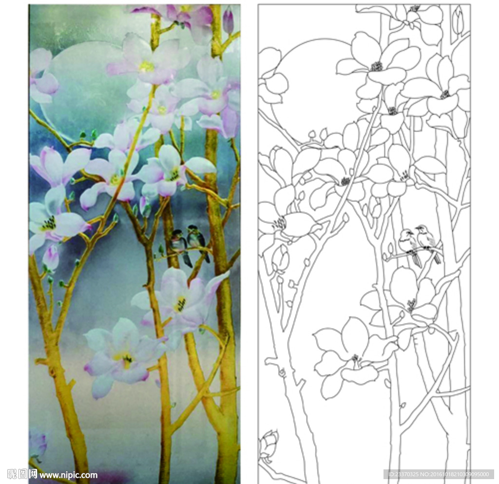 玉兰花小鸟