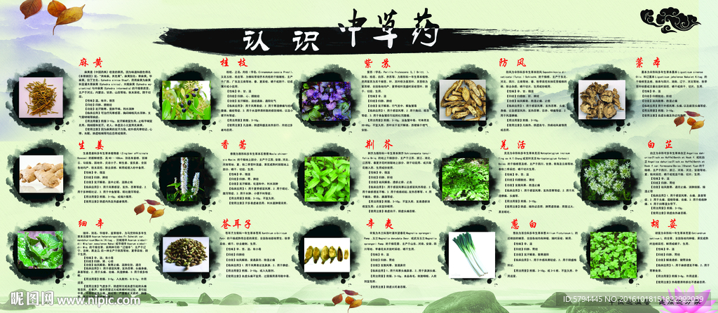 中医药展板
