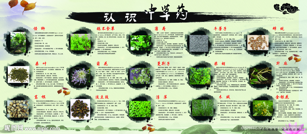 中医药展板